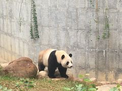 -南宁市动物园