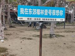 -东郊椰林
