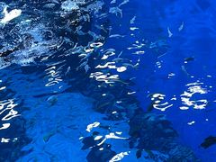 -南昌融创海世界