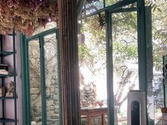 -喵屿·大理花园猫咖