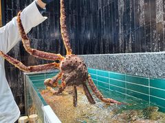 -海虹舫海鲜大酒店(诸暨店)