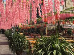 -曼哈顿商业广场(升龙广场店)