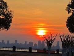 -合肥滨湖国家森林公园