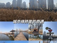 -前关湿地公园