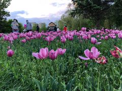 -长春公园(普阳街道)