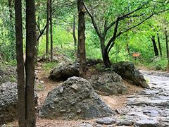 -阳台山自然风景区