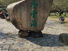 -香雪海