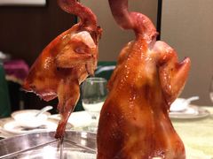 -五稻厨房粤西菜(新闻店)