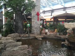 森谷美食公园生态餐厅-森谷美食公园(杨行店)