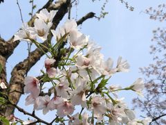 -上海南浦大桥长途旅游客运站