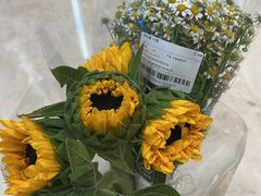 -盒马鲜生(皇庭广场店)