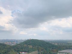 -上海佘山国家森林公园西佘山园