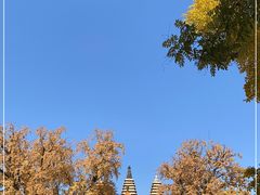 -北京石刻艺术博物馆(五塔寺)