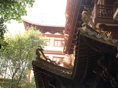 -大佛寺高级素食自助餐厅