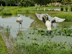 -紫颐香薰山谷景区