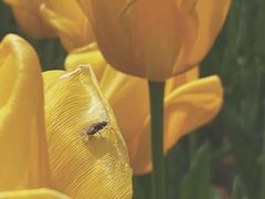 -廊坊文化艺术中心