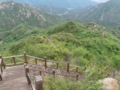 -大岭沟猕猴桃谷风景区