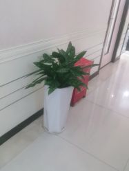 点击看大图 -深圳阳光医疗美容医院·旗舰店