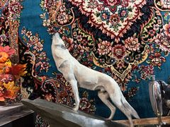 -新疆狼爷烤肉(宋庄店)