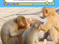 -昆明动物园