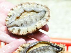 -巽寮印象美食部落餐厅·海鲜·地方特色菜(惠州体验店)