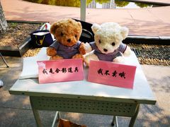 -上海市实验学校