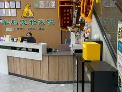 -半岛宠物医院24小时·内窥镜·牙科·碎石中心(府城大道店)