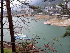 -广州市流溪河国家森林公园