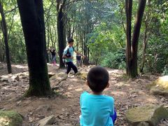-火炉山森林公园