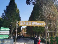 -罗记又添缘竹荪山药鸡·野生菌火锅(西园南路店)