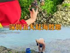 -东山码头