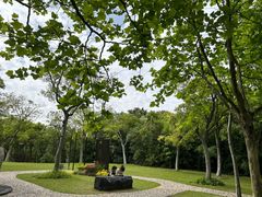 -上海吴淞炮台湾国家湿地公园