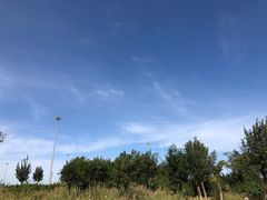 -东疆建设开发纪念公园