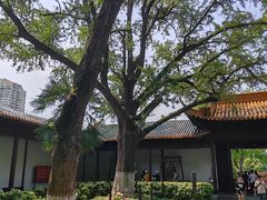 -新白鹿餐厅(金鹰新街口店)