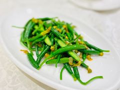 黄瓜苗-宏玲餐厅(四川南路店)