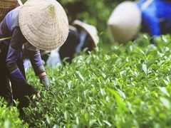 -湘邻呷铺·田园家宴(汉基广场店)