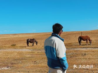 ️景点玩法: DAY1塔尔寺 DAY2青海湖