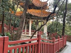 -南国桃园旅游度假区