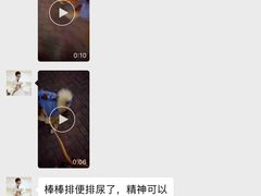 -宠颐生东兴动物医院(大悦城店)