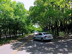 -胜华驾校·小猫学车(银都店)