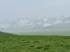 -新疆那拉提国家旅游度假区