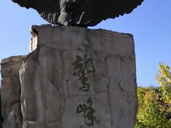 -北京鹫峰国家森林公园