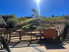 -神户市立六甲山牧场