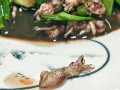 -老家黄墩小错鸡·活海鲜