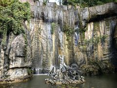 -西双版纳原始森林公园