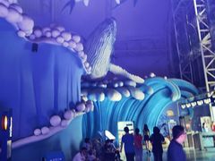 -烟台海昌鲸鲨海洋公园