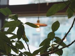 -肥朵食堂(带梦胡同店)