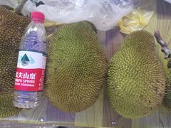 -西双版纳傣族园