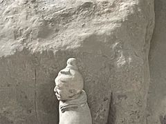 -秦始皇帝陵博物院(兵马俑)
