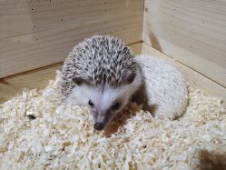 -酷嗒动物文化乐园(cutezoo西溪乐天城店)